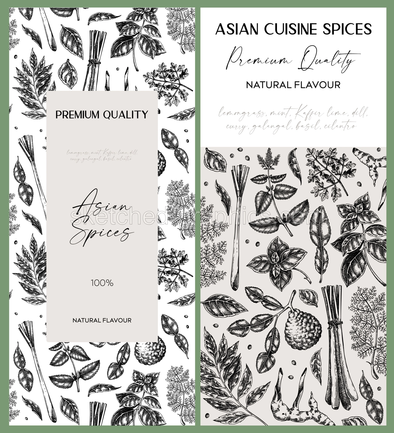 Asian spice label design. Basil, curry, calangal, cilantro, lime sketches. Herbs hand-drawn vector illustration. Vintage spice banner template. . NOT AI generated Illustration
